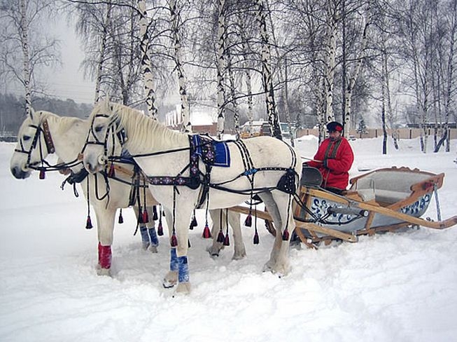 сани